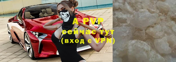 таблы Тайга