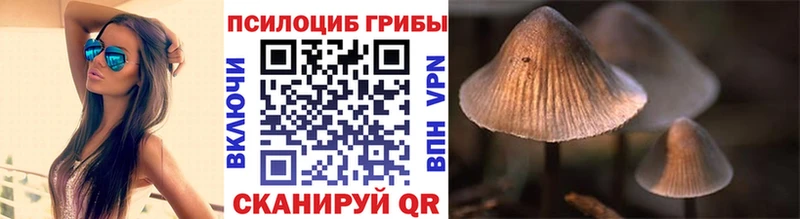 Галлюциногенные грибы GOLDEN TEACHER  Красноперекопск 